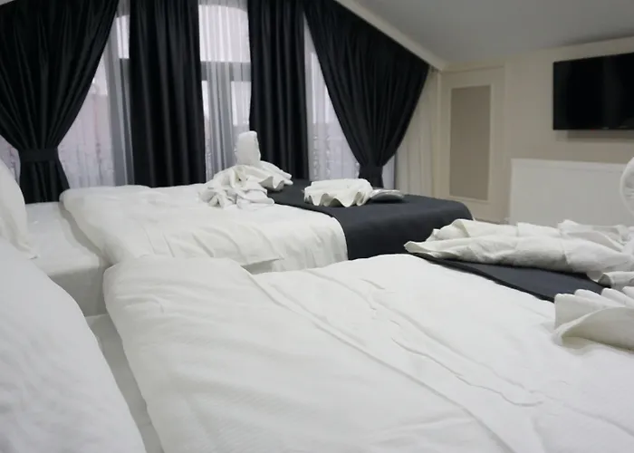 Main Airport Ξενοδοχείο 3*